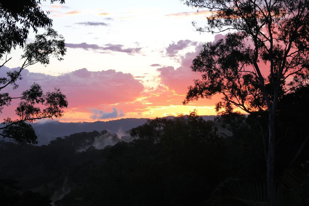 Phoenix Eumundi Zewnętrze zdjęcie